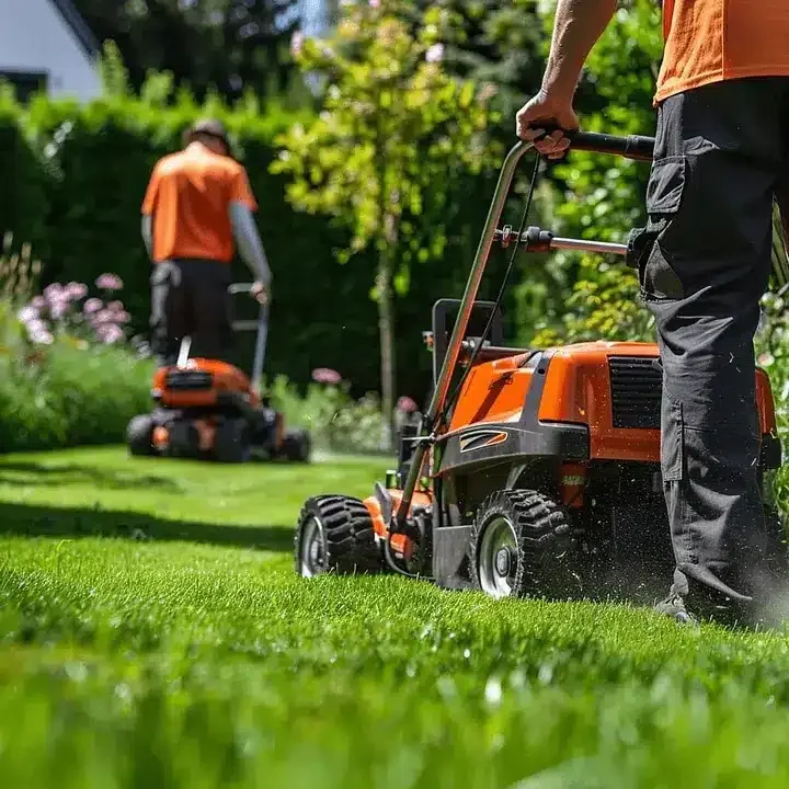 Two people in orange shirts mow a green lawn with orange lawn mowers in a garden with trees and bushes on a sunny day.